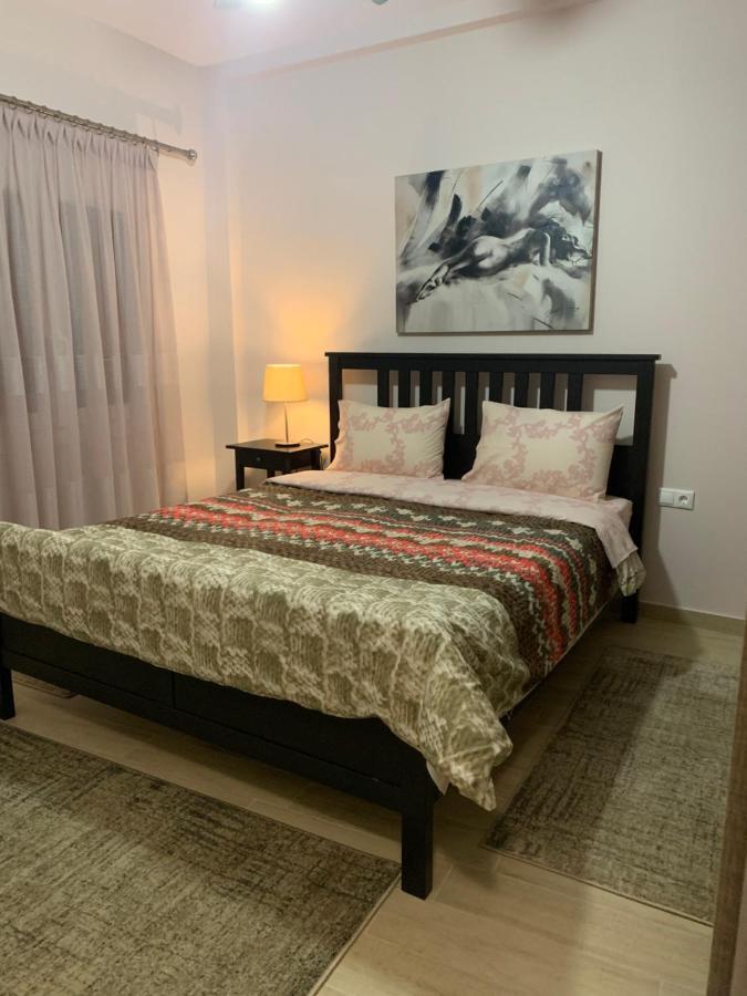 Renovated Apartment In The Center Of Larisa Екстериор снимка